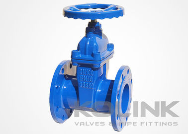 Resilient Seated Ductile Iron Gate Valve Encapsulated Disc GGG40 GGG50