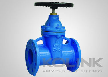 Resilient Seated Ductile Iron Gate Valve Encapsulated Disc GGG40 GGG50