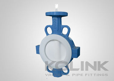 PTFE Seated Butterfly Valve Concentric 2-48 Inch Class150