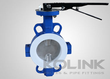 PTFE Seated Butterfly Valve Concentric 2-48 Inch Class150