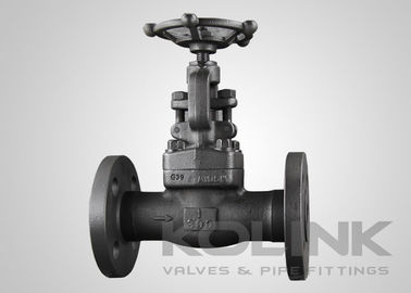 Forged Steel Globe Valve Flanged End 1/2 to 2 Inch