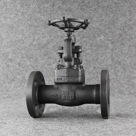 Forged Steel Globe Valve Flanged End 1/2 to 2 Inch