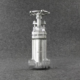 Forged Stainless Steel Bellows Seal Gate Valve Extended Body F304 F316