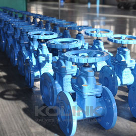 BS5163 Resilient Seated Gate Valve Ductile Iron GGG40 GGG50 Irrigation