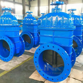 Ductile Iron Gate Valve PN10-25 with Rubber Seat and Handwheel